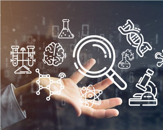 Industry Research Insights and Expert Analysis